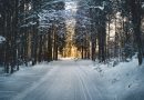 Vinterdæk i topklasse – din garanti for sikker kørsel